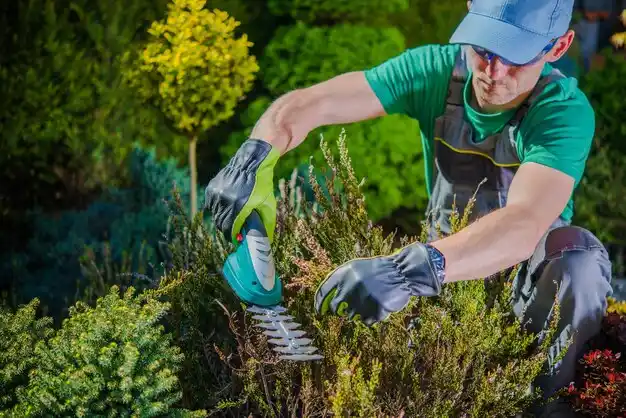 landscaping services Level Park-Oak Park